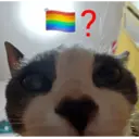 ملصق