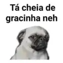 Figurinha