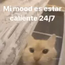 Límmiði