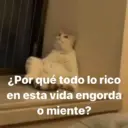 Samolepka