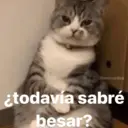 Límmiði