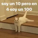 Límmiði
