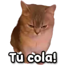 Stika