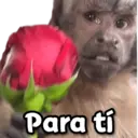 Stika