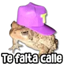 Figurinha