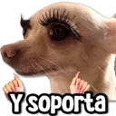 Figurinha