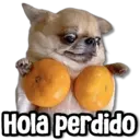Figurinha