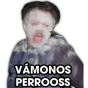 Samolepka