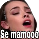 స్టికర్