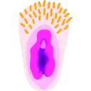 Naljepnica