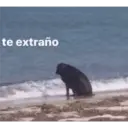 ස්ටිකර්