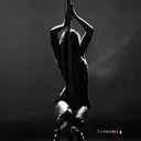 স্টিকার