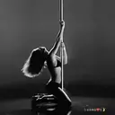 স্টিকার