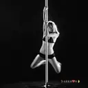 স্টিকার