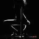 স্টিকার