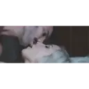 स्टिकर