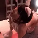 ステッカー
