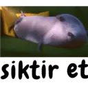 Stiker