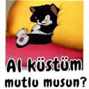 Stiker
