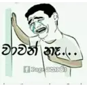 贴纸