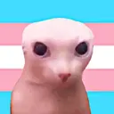 贴纸