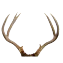 Çıkartma