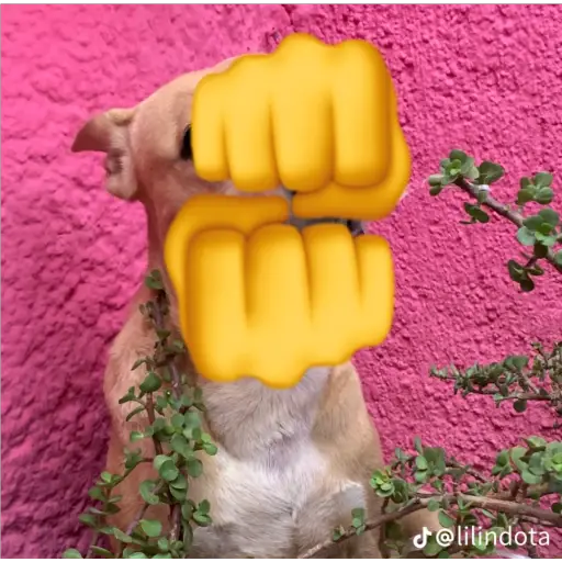 Կպչուն պիտակ