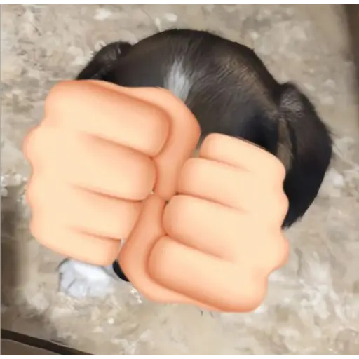 Կպչուն պիտակ