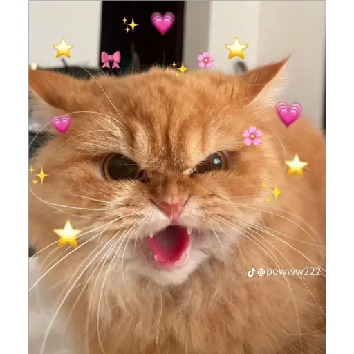 Կպչուն պիտակ