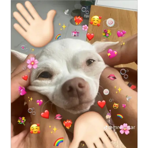 Կպչուն պիտակ