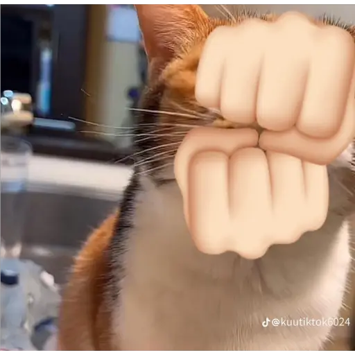 Կպչուն պիտակ