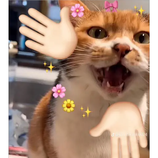 Կպչուն պիտակ