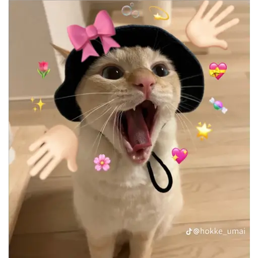 Կպչուն պիտակ