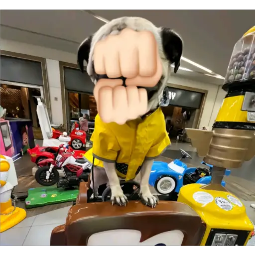 Կպչուն պիտակ