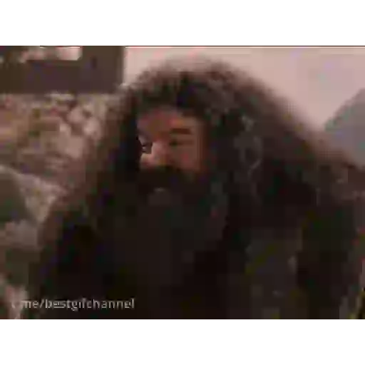 ਸਟਿਕਰ
