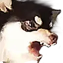 สติกเกอร์