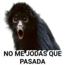 Nhãn dán