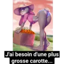 استیکر