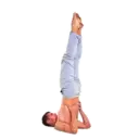 स्टिकर