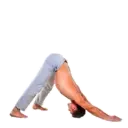 स्टिकर