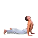 स्टिकर