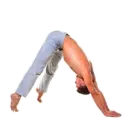 स्टिकर
