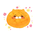 Ngjitës