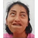 Stika
