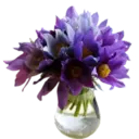 Կպչուն պիտակ