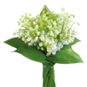 Կպչուն պիտակ