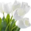 Կպչուն պիտակ