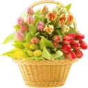 Կպչուն պիտակ