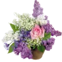 Կպչուն պիտակ