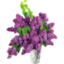 Կպչուն պիտակ